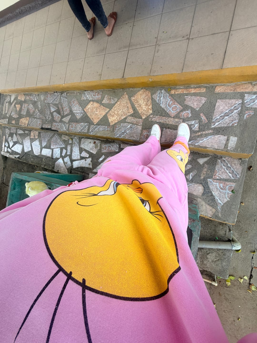 Customer photo review of 2169 - Looney Tunes Character Sweats