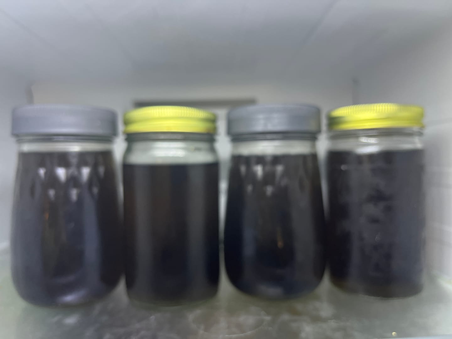 Customer photo review of America's Classic Yaupon Tea