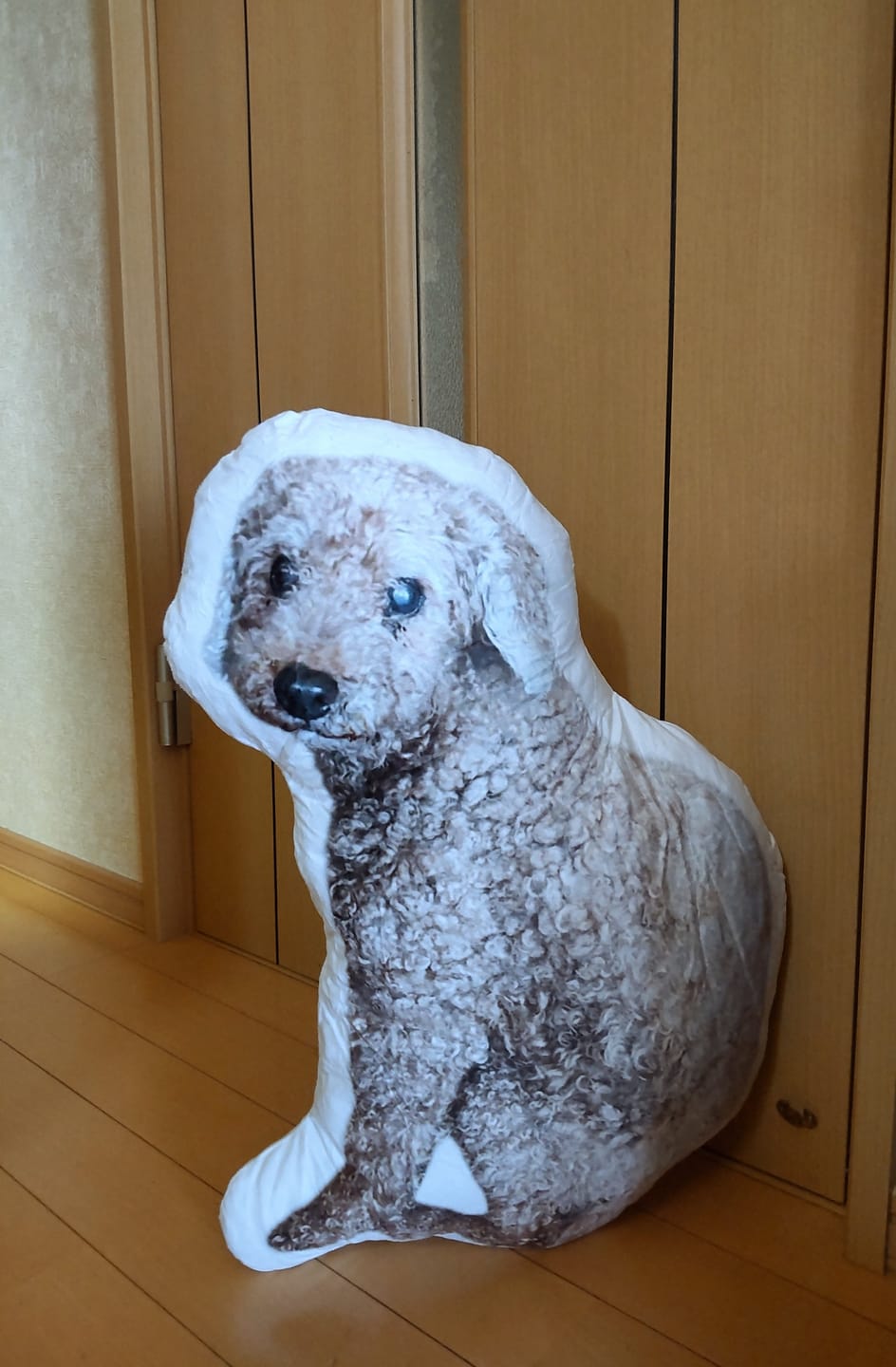 Customer photo review of 本物そっくり♪ペットフェイスバッグ