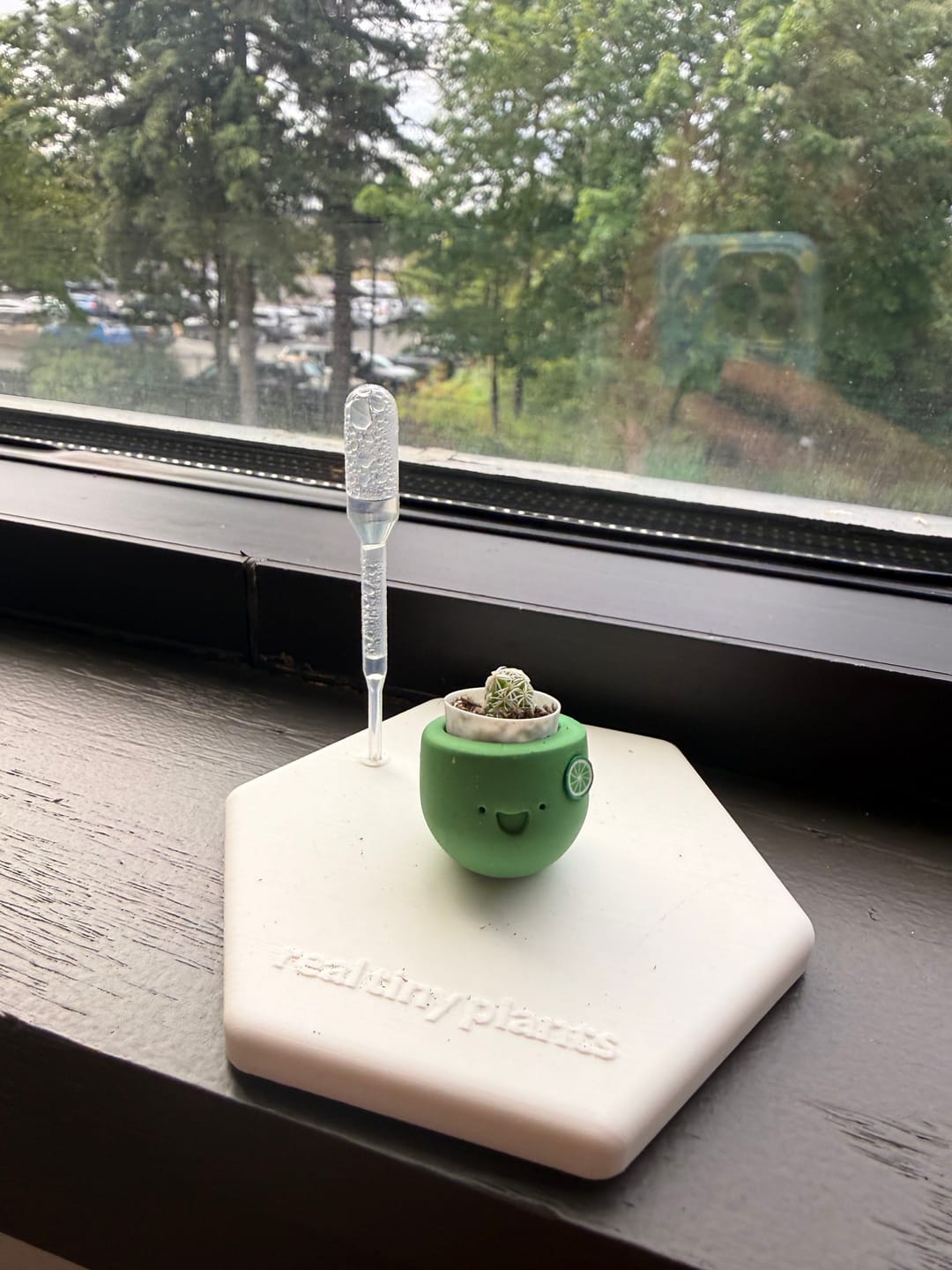 Customer photo review of Keylime