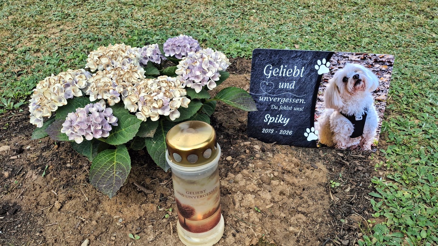 Customer photo review of Hunde Gedenktafel mit Foto & Spruch (UV- &  Wetterfest)