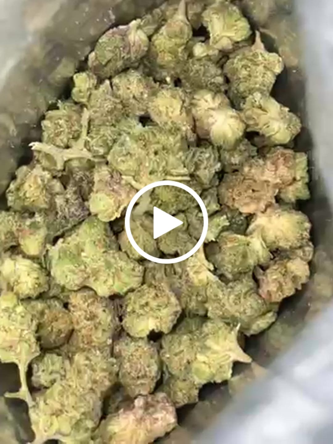 Customer video review of THCa Greenhouse Smalls