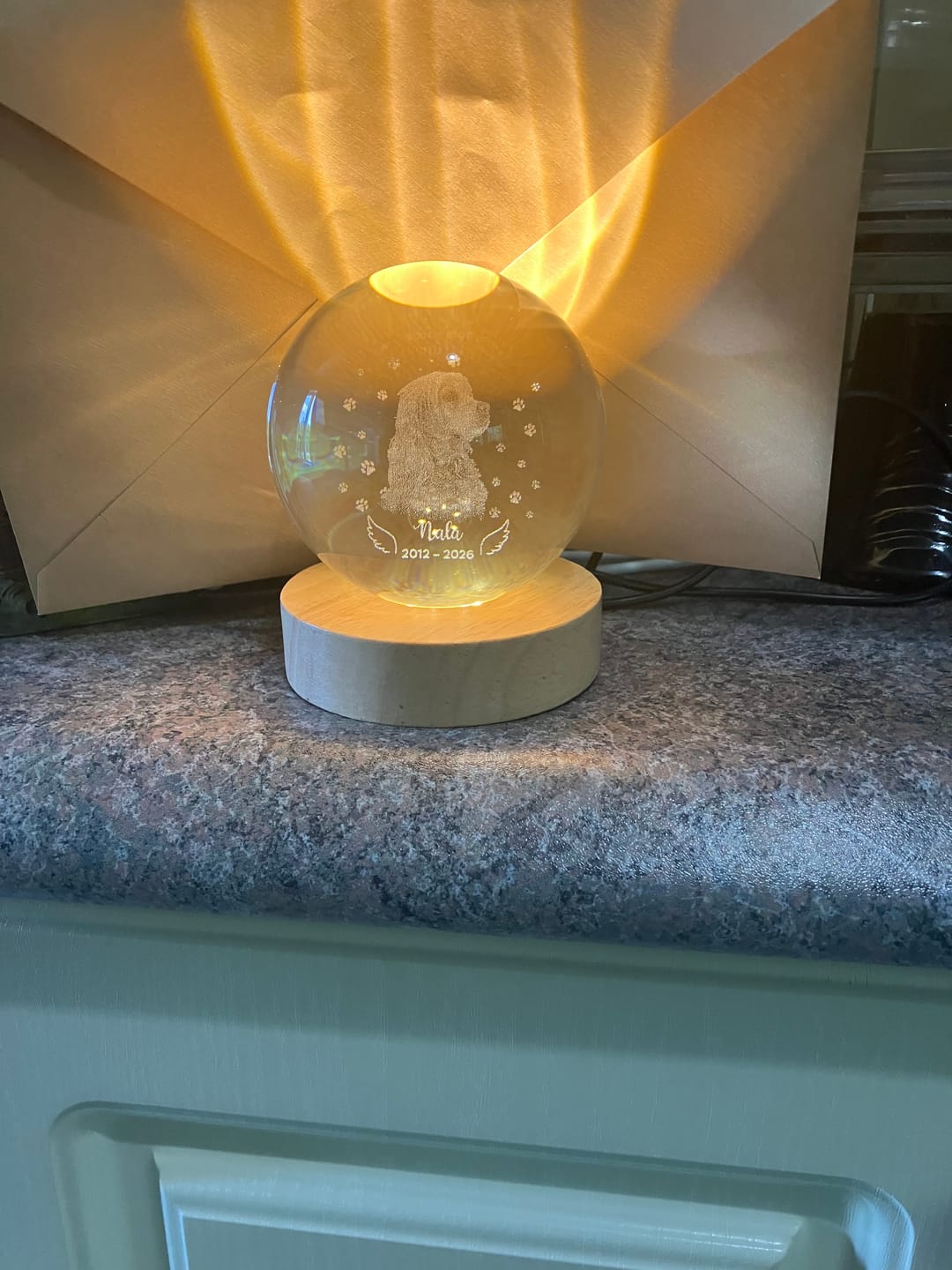 Customer photo review of Dog Angel Wings Memorial - Personalized Crystal Ball LED Night Light - Sympathy Gift For Dog Lovers