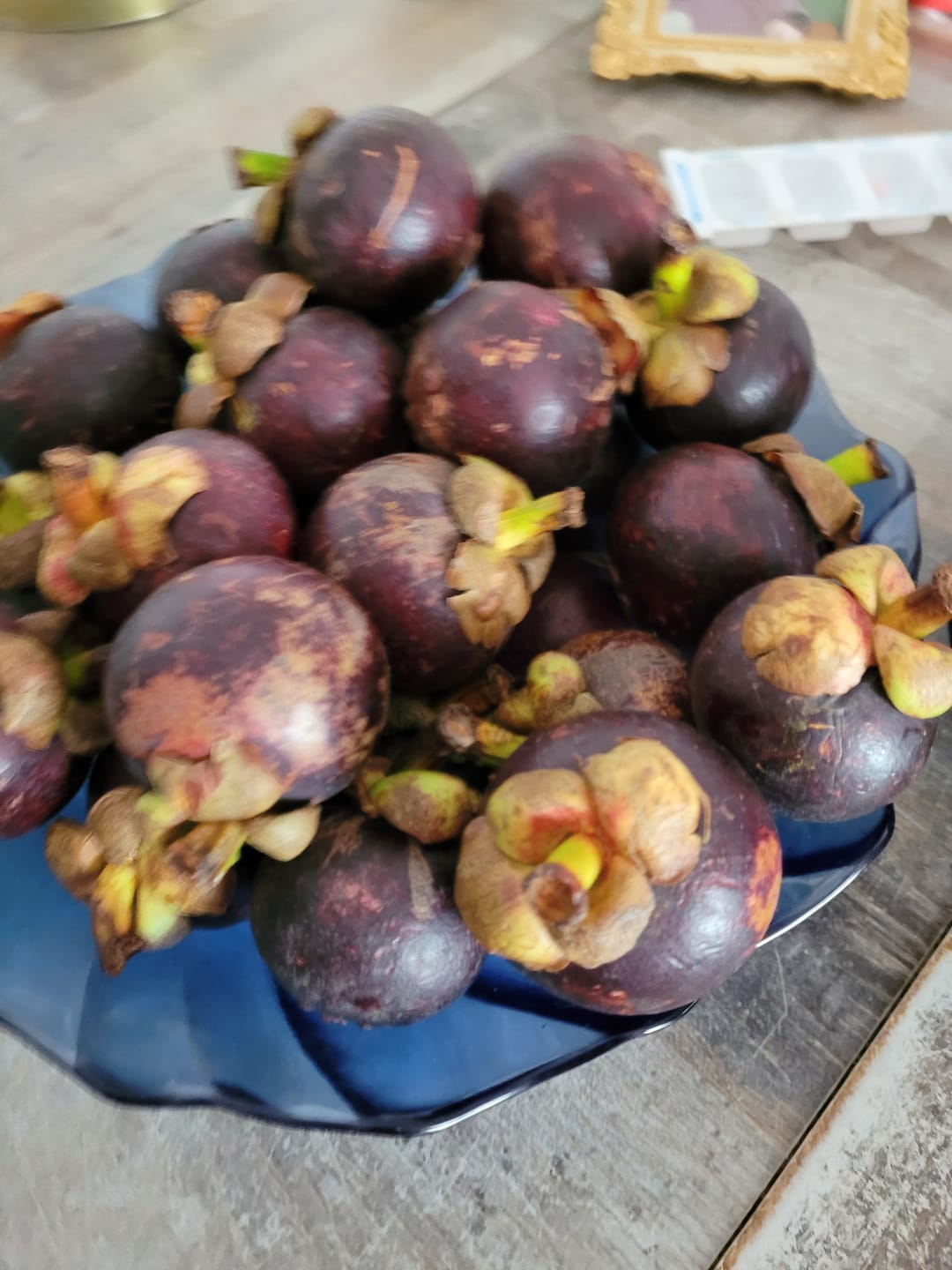 Customer photo review of Mangostan (Mangosteen) Sommeraktion %