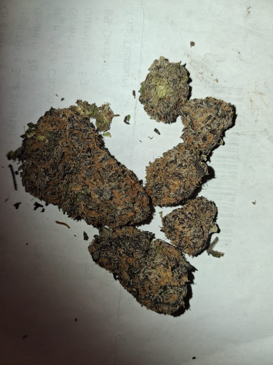 Customer photo review of Black Ice - Indoor