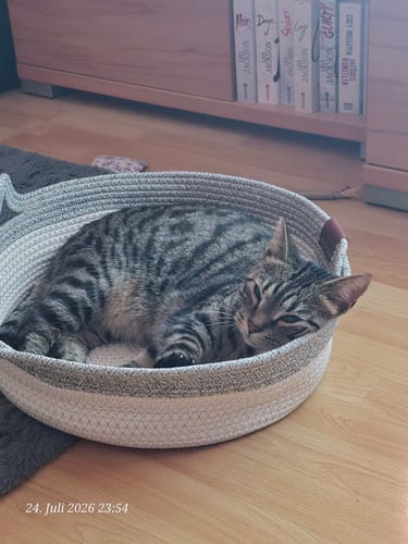 Kundenbewertung mit Foto zu Fellnest Katzenkorb