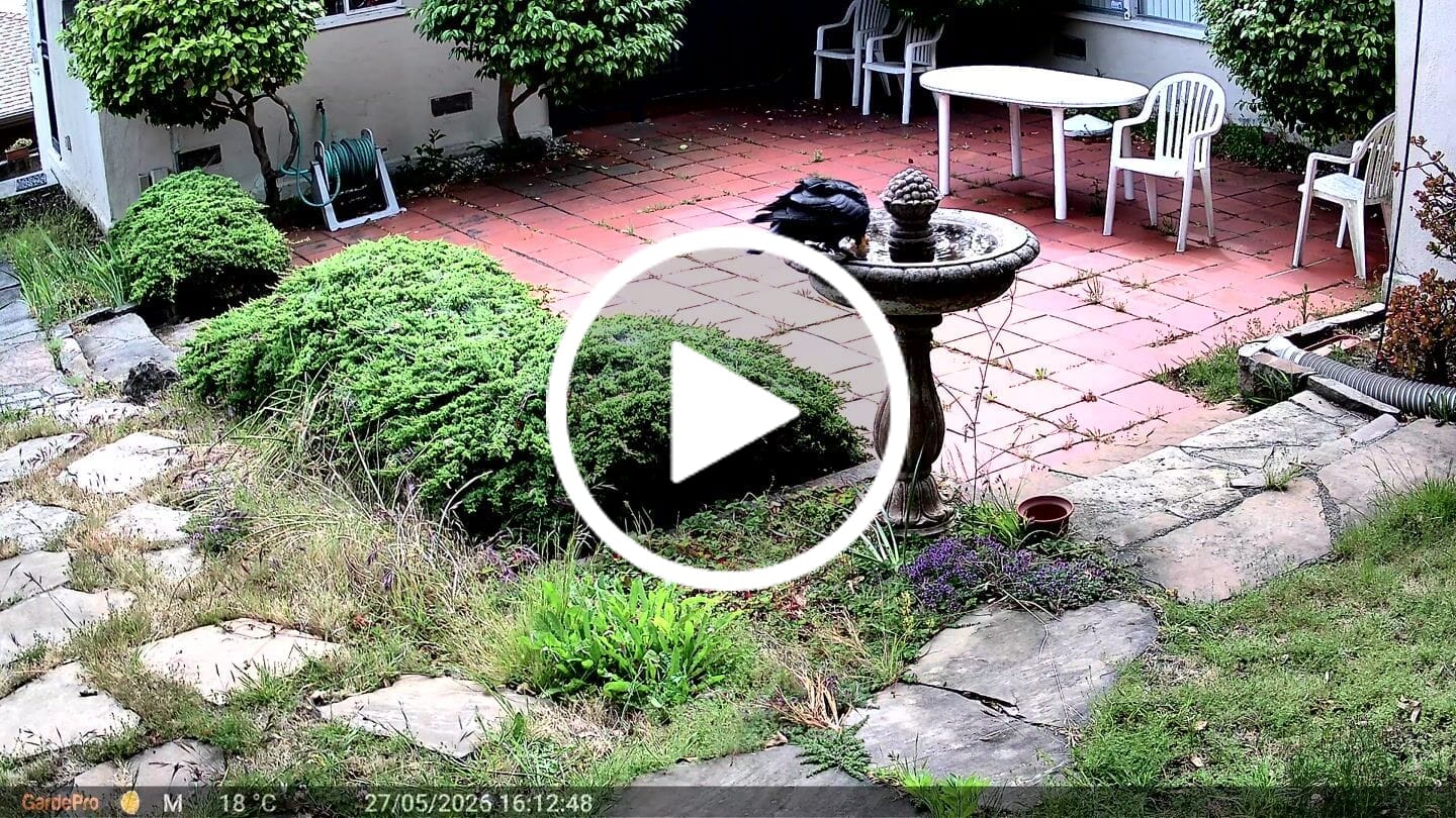 Customer video review of GardePro E8 2.0 Pro Wi-Fi Trail Camera