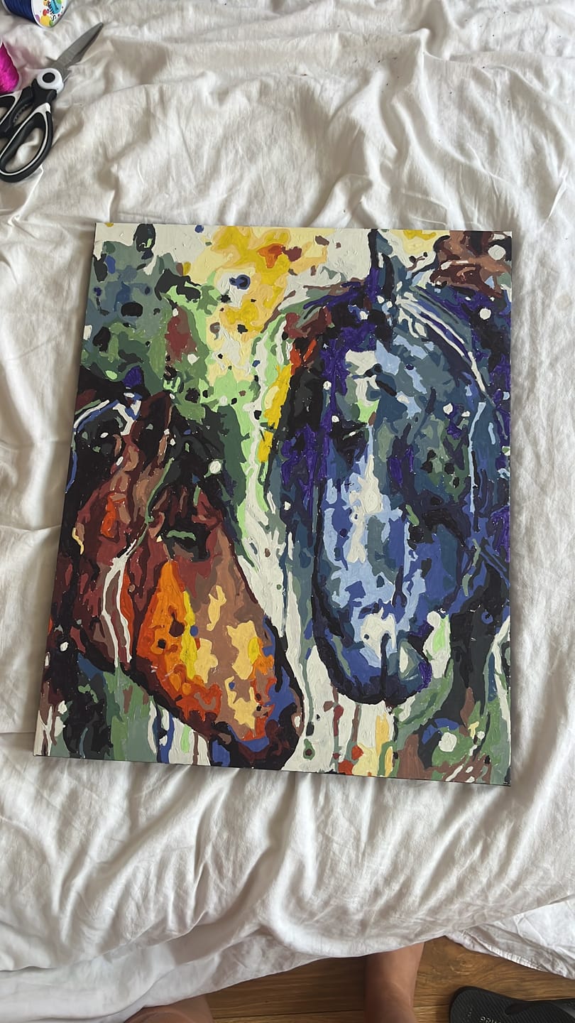 Customer photo review of Two Colorful Horses | Paint by Numbers