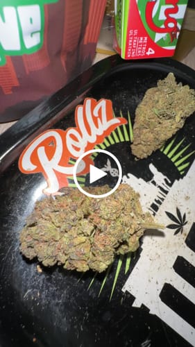 Customer video review of THC-A Flower California Love