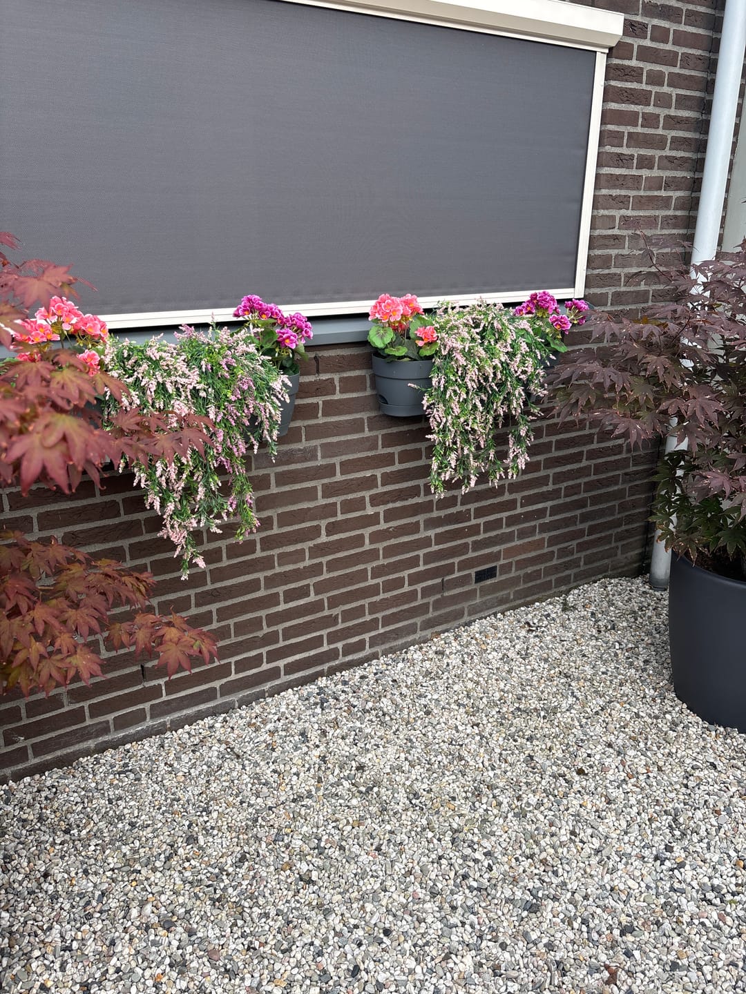 Customer photo review of Kunst Hangplant Lichtroze 2st. 70cm