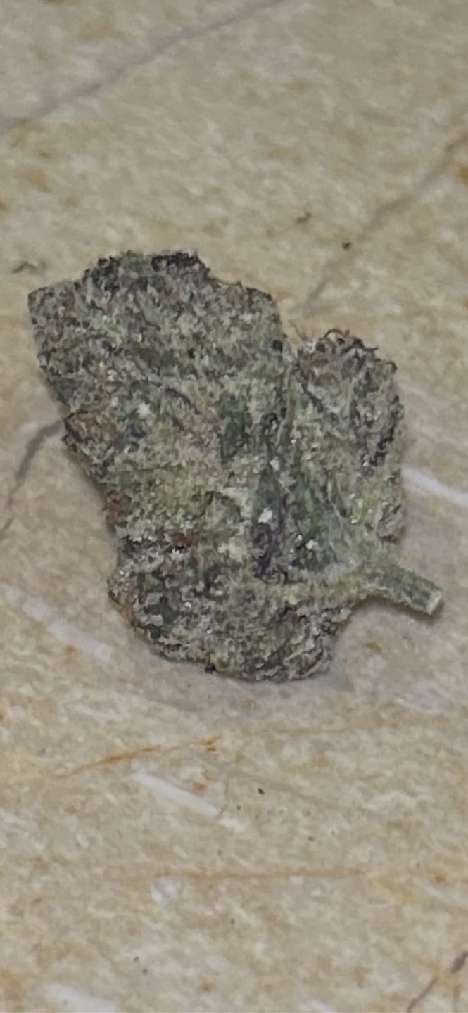 Customer photo review of Gas Cake - 4 Grams - Indica