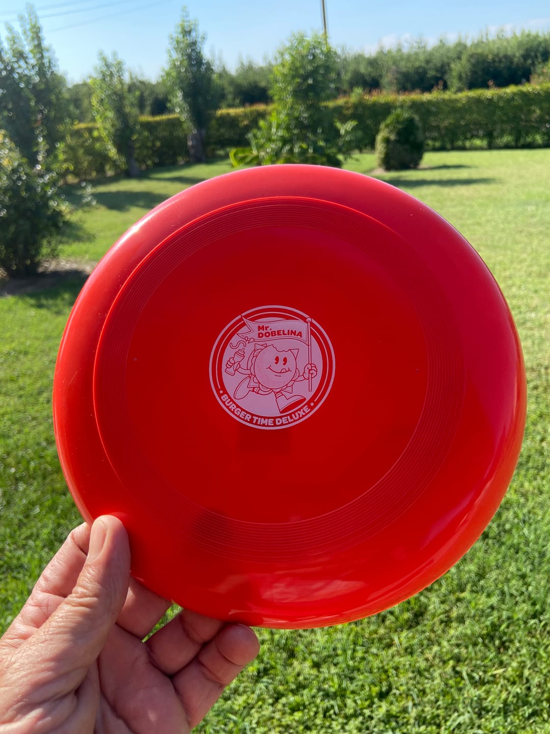 Customer photo review of FrisBOX, la box estiva con bun per hamburger e non solo