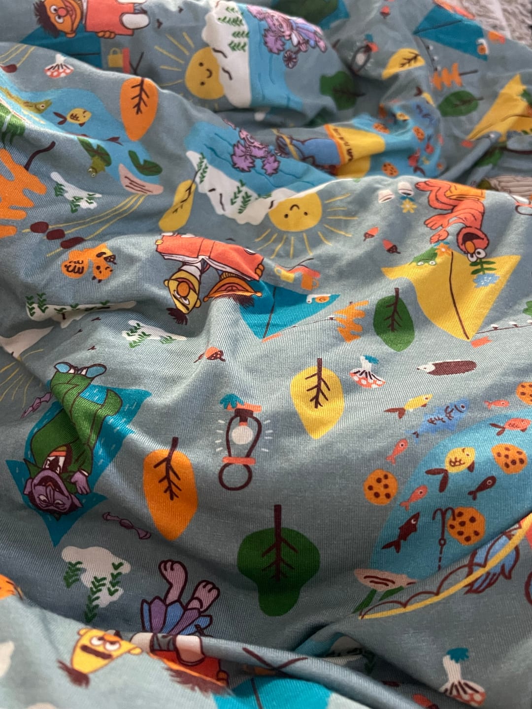 Customer photo review of Let's Go Camping 50x65 Quilt | Sesame Street™