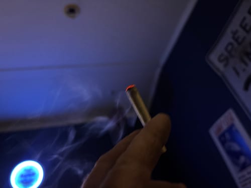 Delta 8 Flower - Garlic Breath photo review