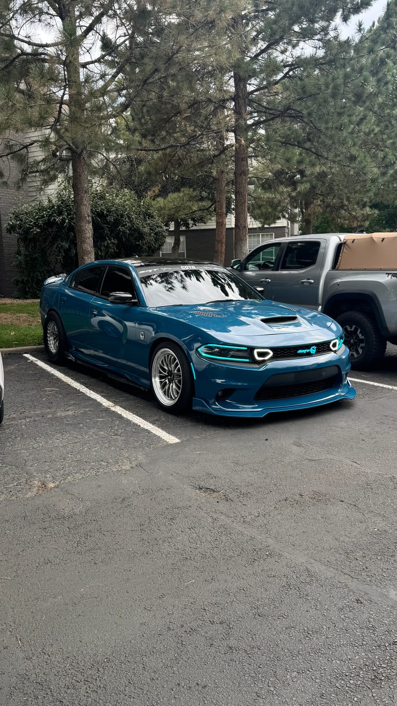 Customer photo review of BLACKLINE® BLACKOUT TRIM & TIRE DRESSING
