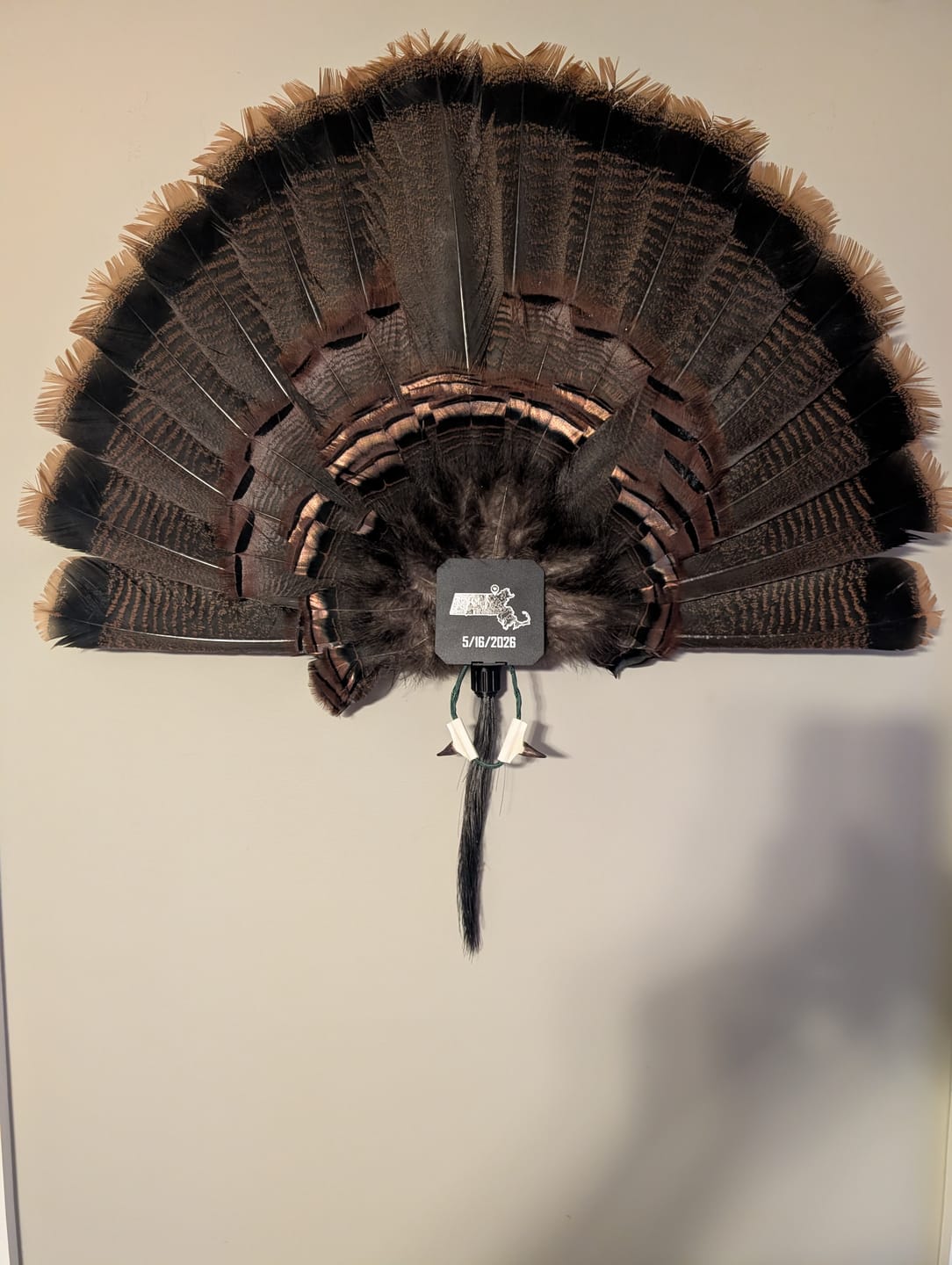Customer photo review of FeatherLok | Mini
