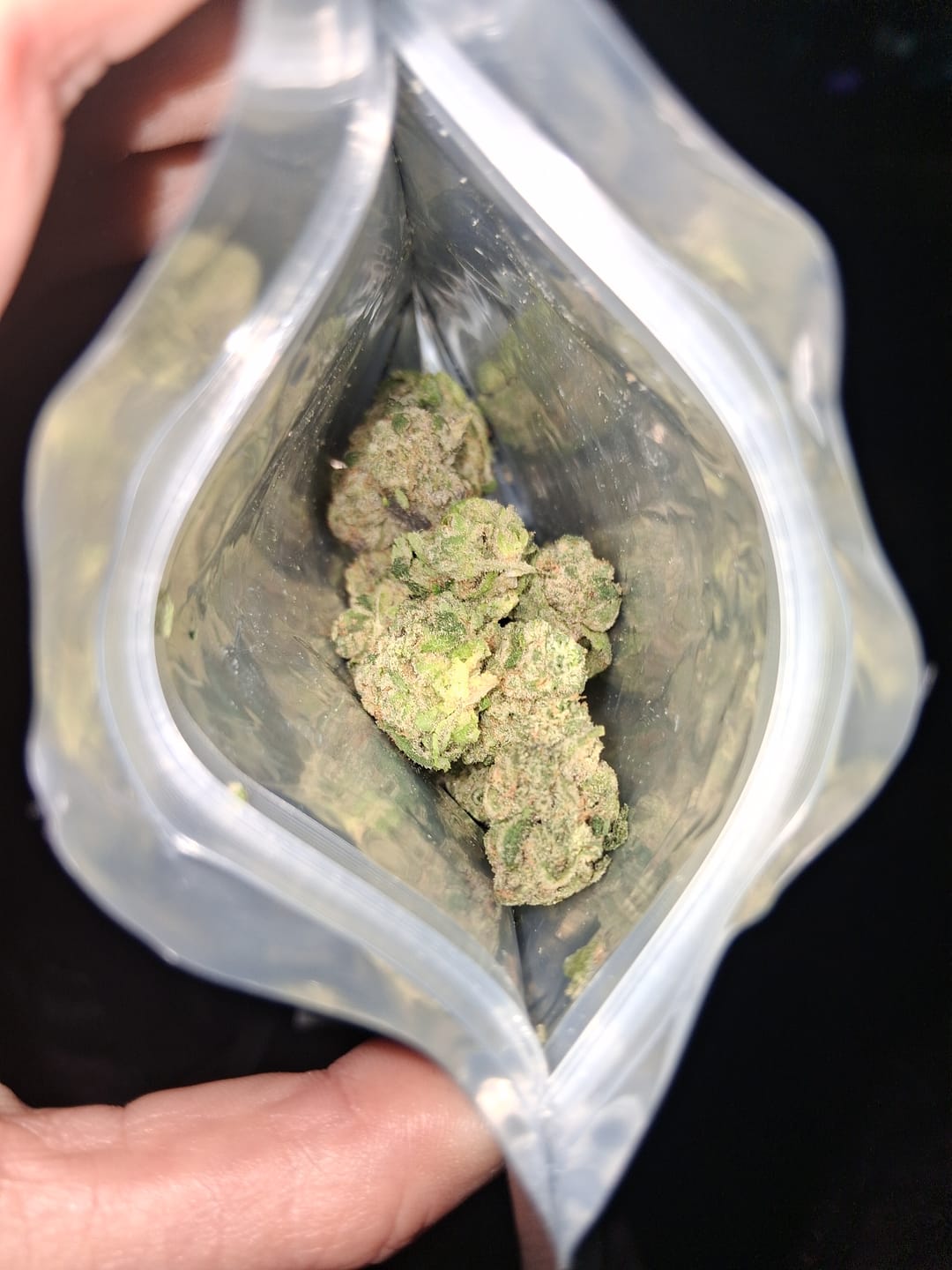 Customer photo review of Cereal Milk THCA Flower (Budget)