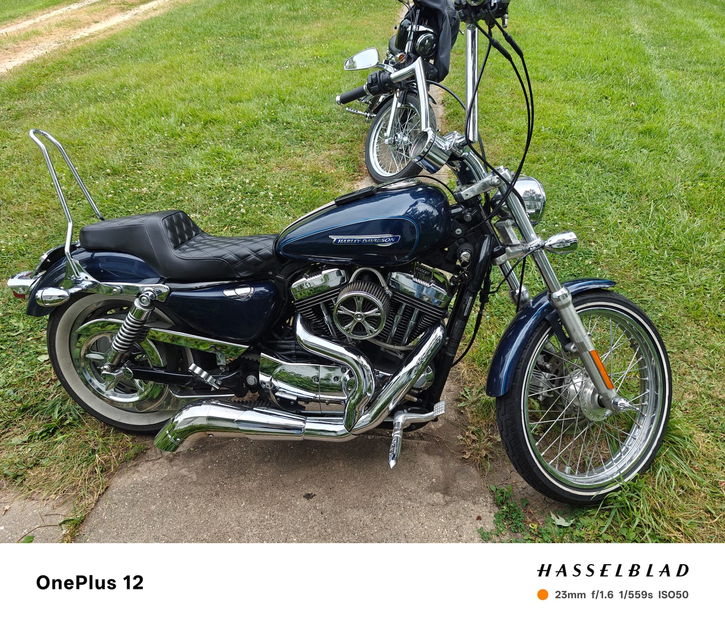 Customer photo review of Iron Born Diamond Stitch 2-Up Seat For Harley Sportster 1200 Custom XL1200C Black