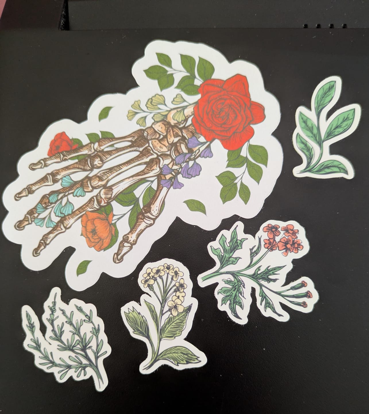 Customer photo review of Botanical Sticker Sheet