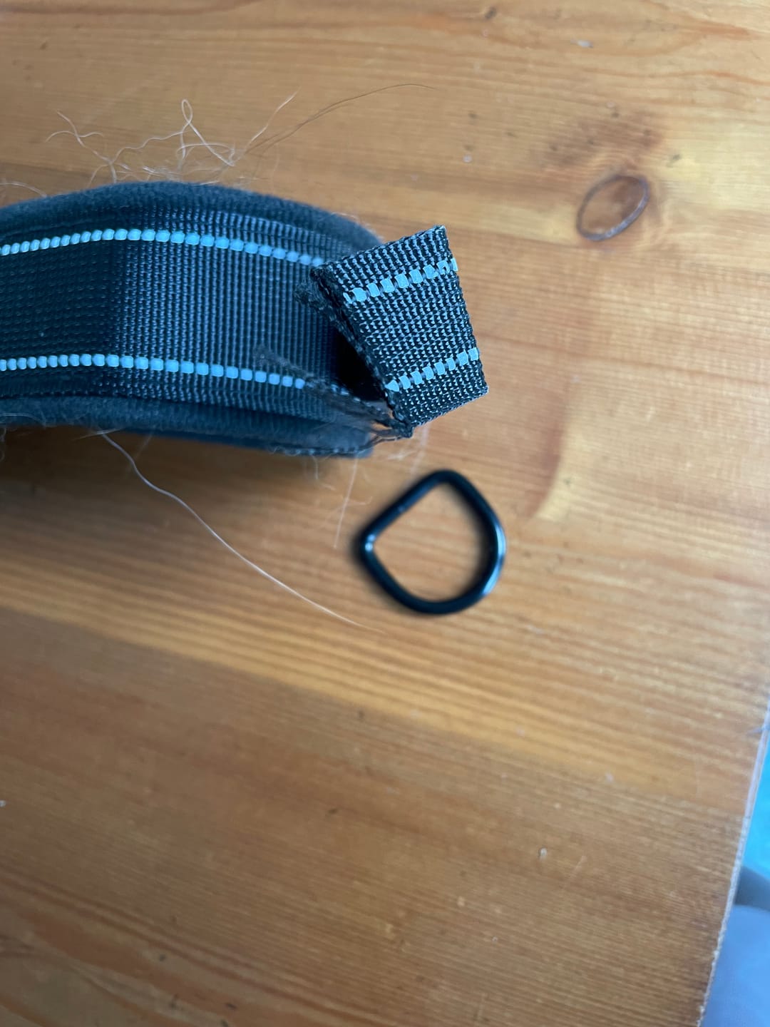 Customer photo review of StrapSure - No-Pull Verstelbaar Hondentuig