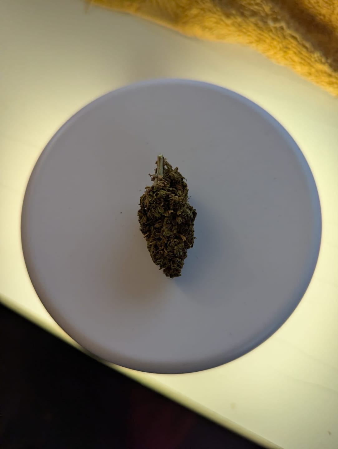 Customer photo review of Orange Bud CBD Blüten Indoor