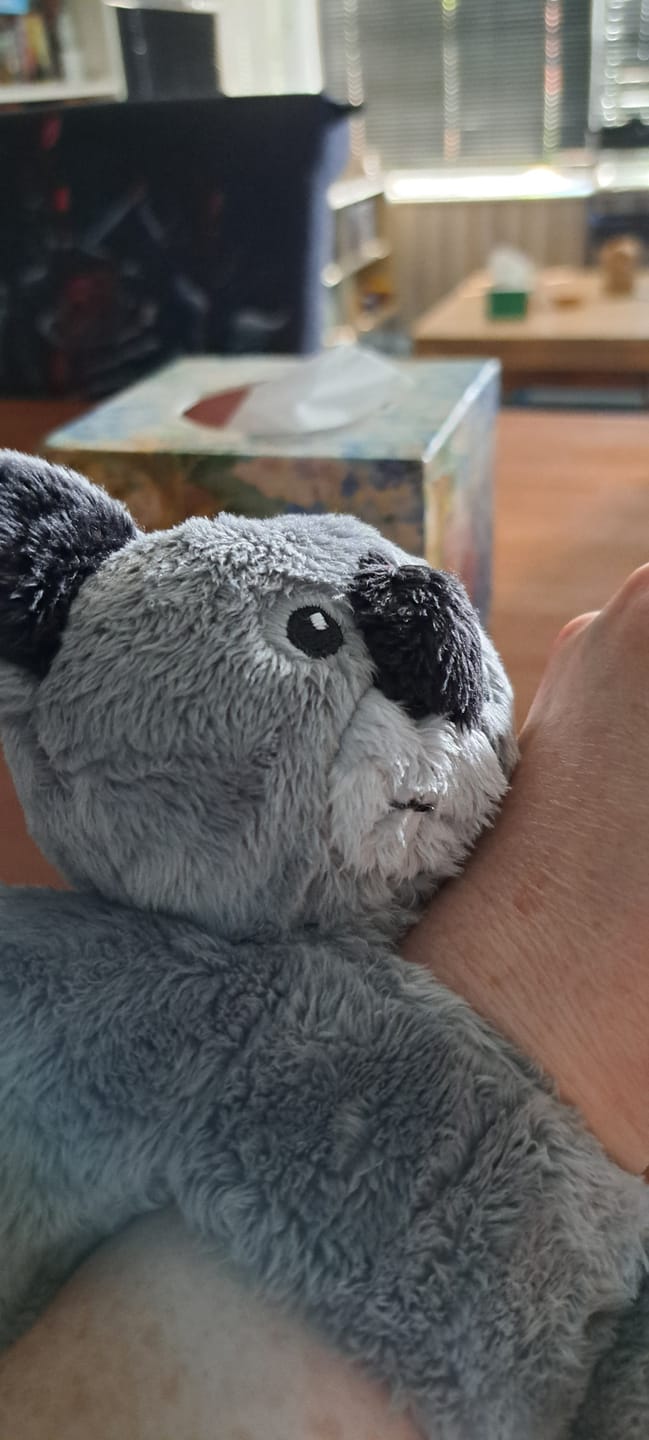 Customer photo review of Mini Lotgenootje Koala