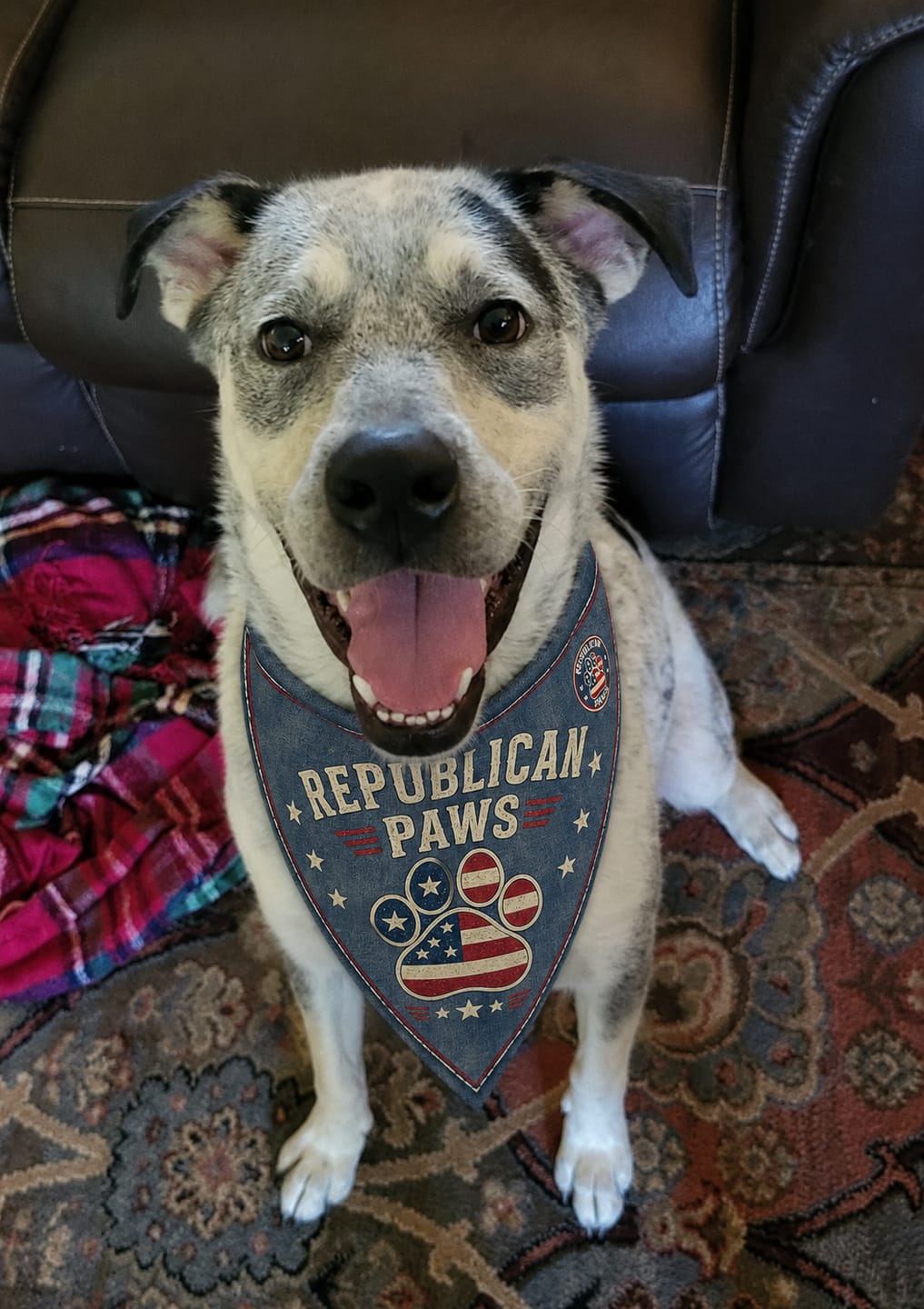 Customer photo review of Freedom Collection Dog Bandanas
