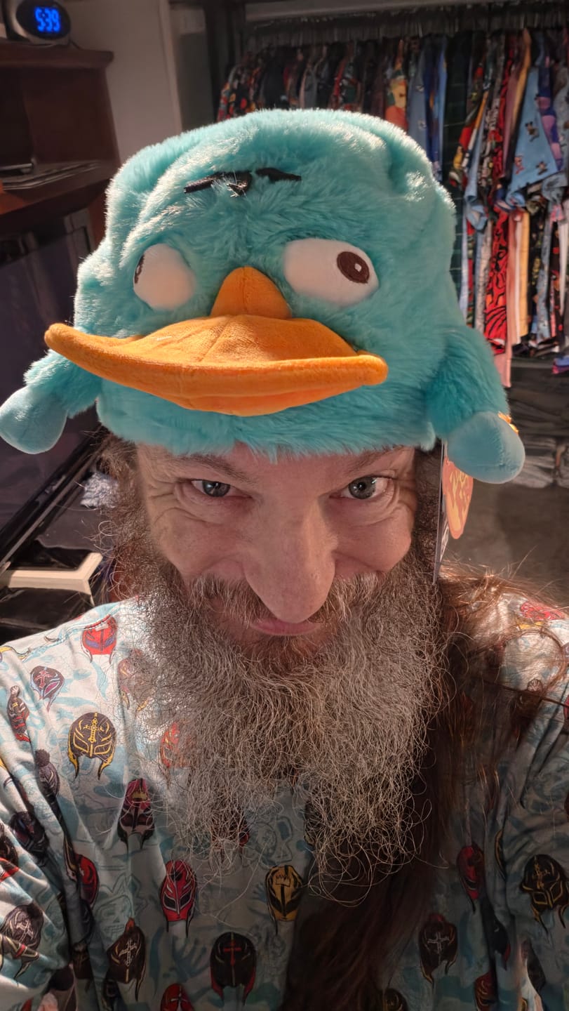 Customer photo review of Disney’s Phineas and Ferb "Perry the Platypus" – Plush Hat