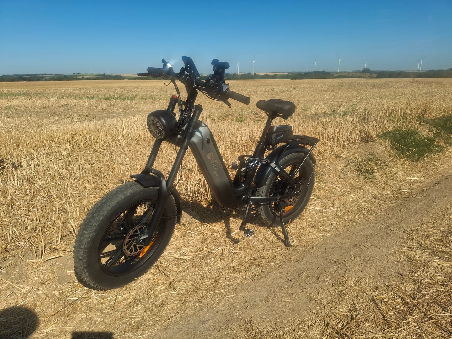 Customer photo review of CMACEWHEEL V20 750W 20" Fat Bike 960Wh Full Suspension E-bike with Torque Sensor 48V 20Ah Battery