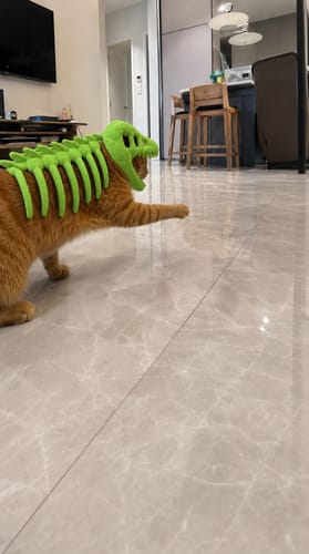 Customer's orange cat wearing a neon green dinosaur costume