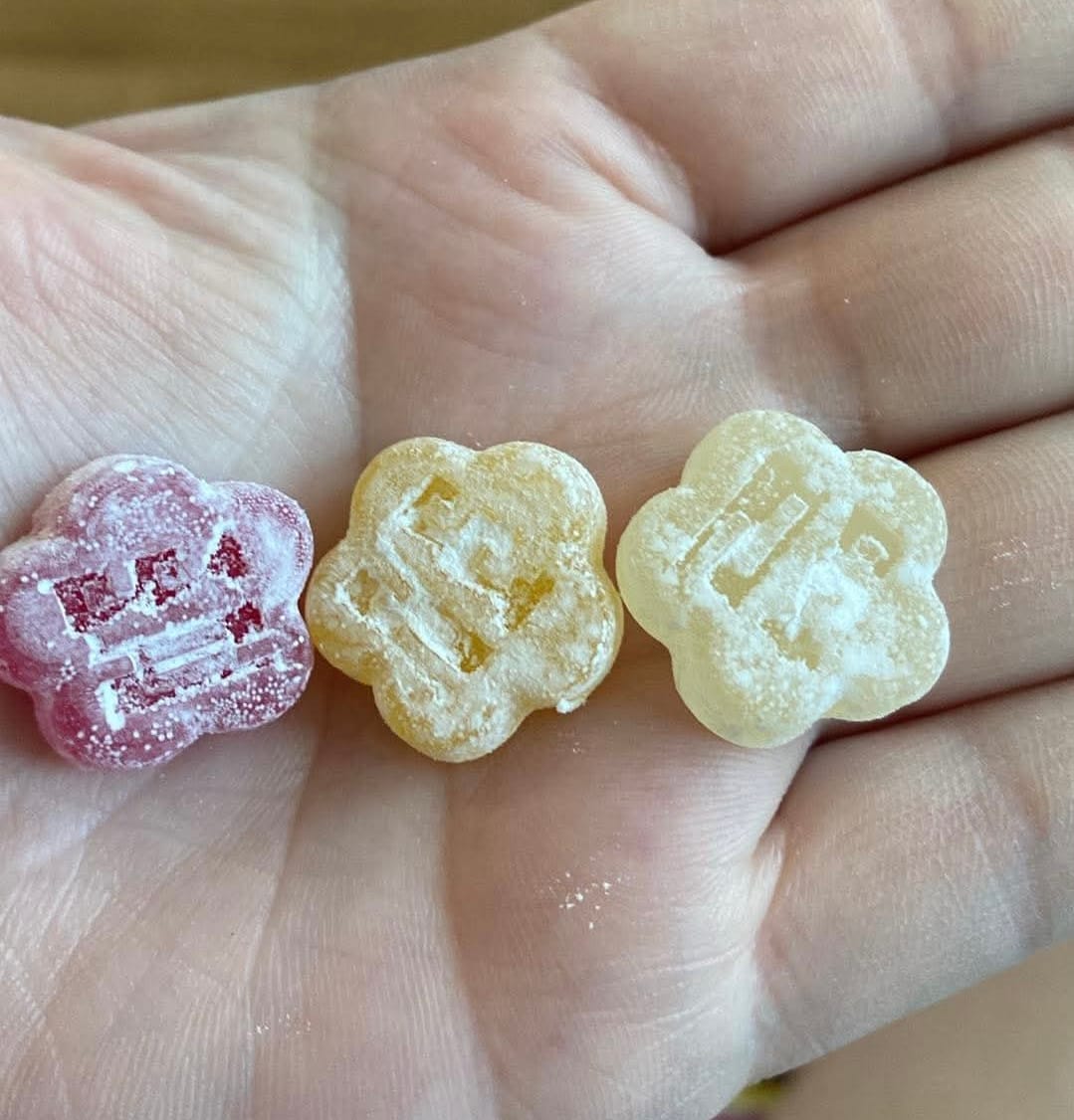 Customer photo review of Mochi Discovery Pack