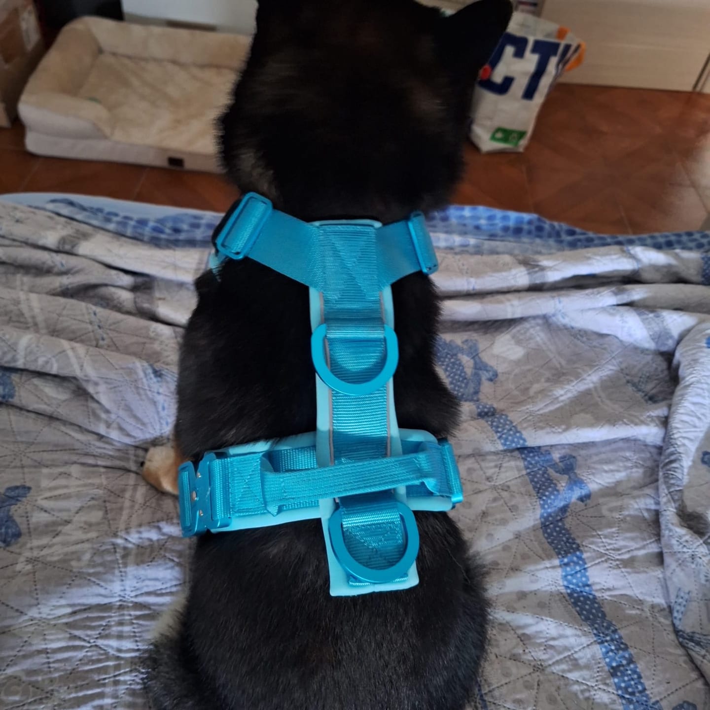 Customer photo review of Pettorina Crime 3.0