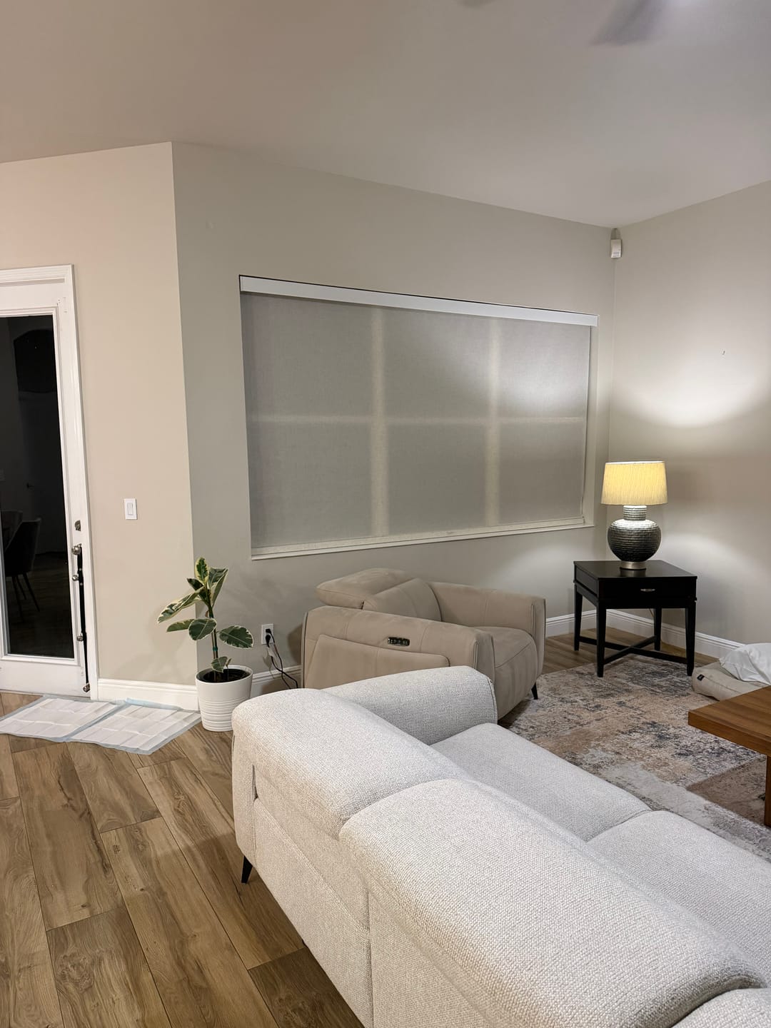Customer photo review of Bringnox Roller Shade Price Difference