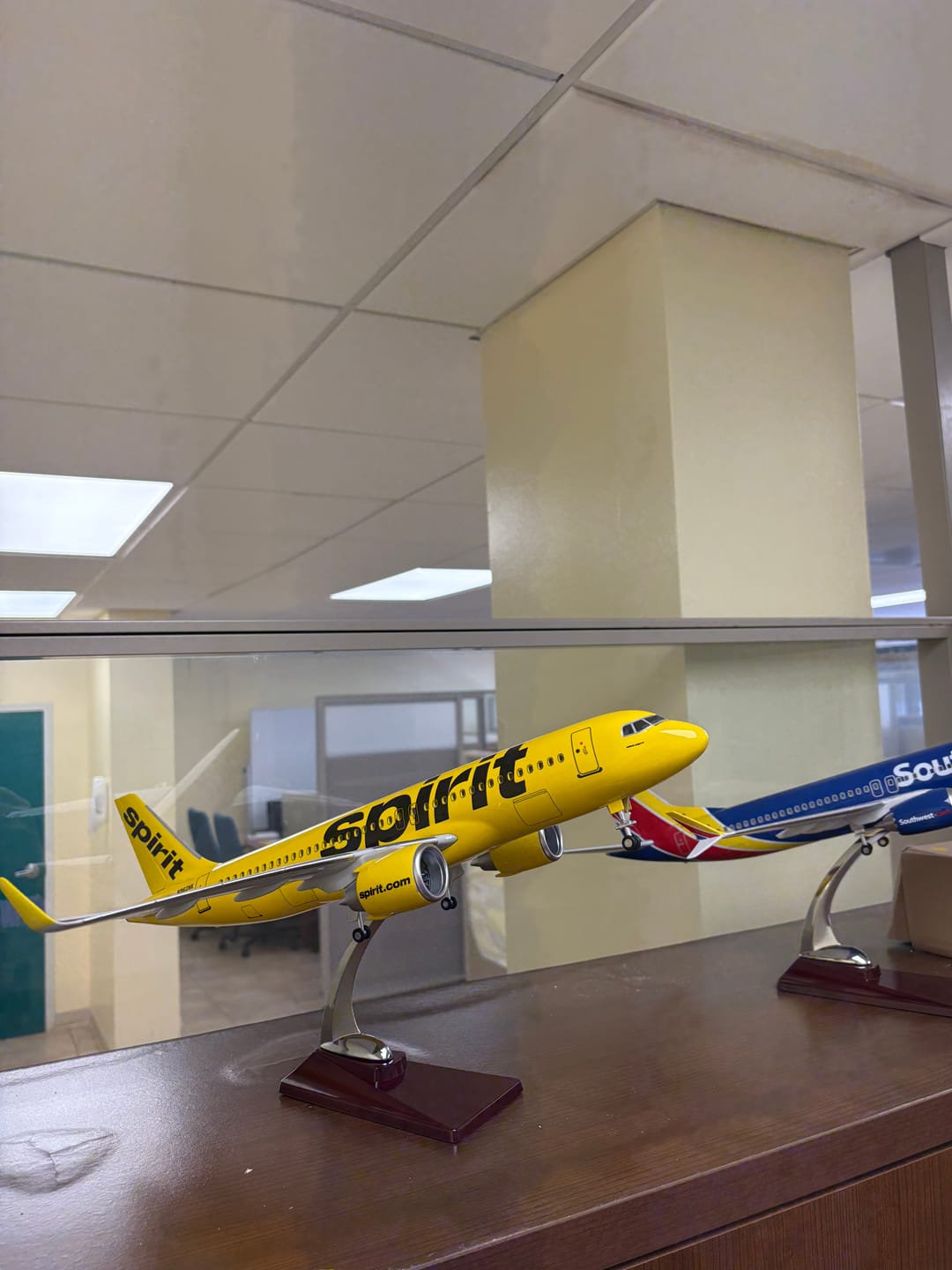 Customer photo review of Spirit Airlines Airbus A320 "Yellow Taxi" 1:80 – 47 cm / 18.5 in – Limited Collector's Edition