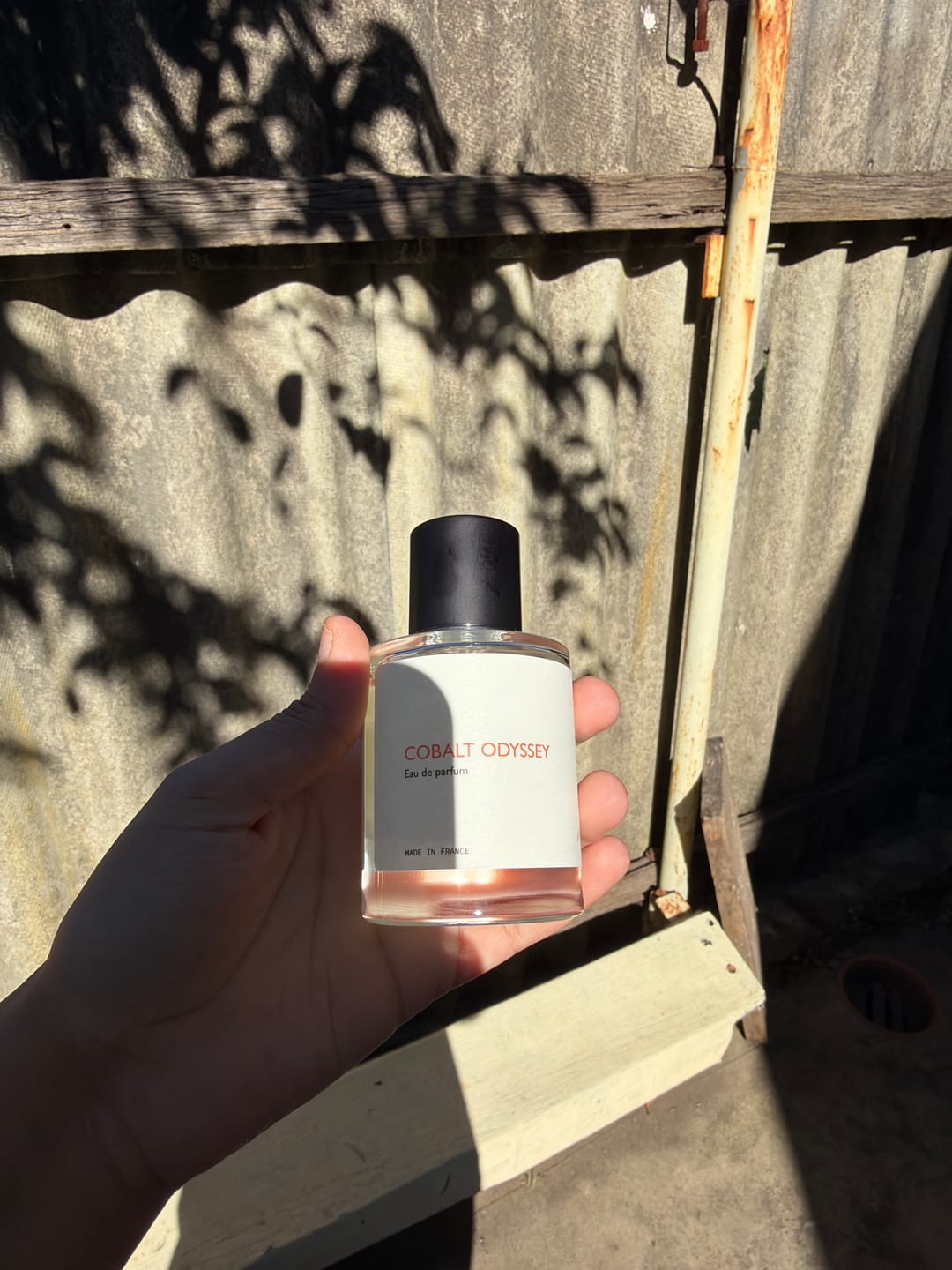 Customer photo review of Cobalt Odyssey
