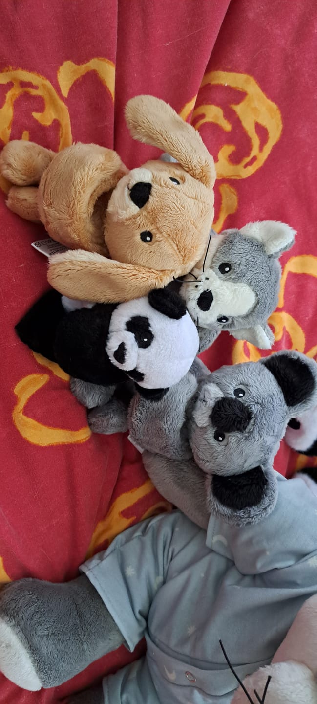 Customer photo review of Mini Lotgenootje Kat