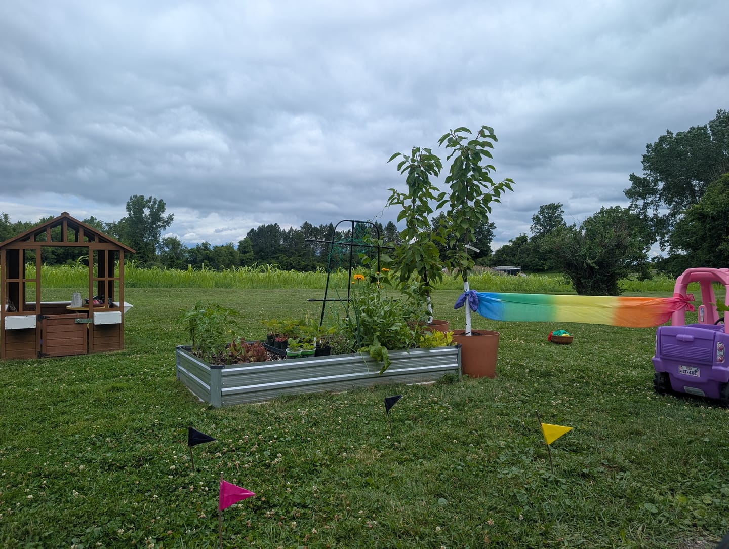 Customer photo review of Autumn Curriculum
