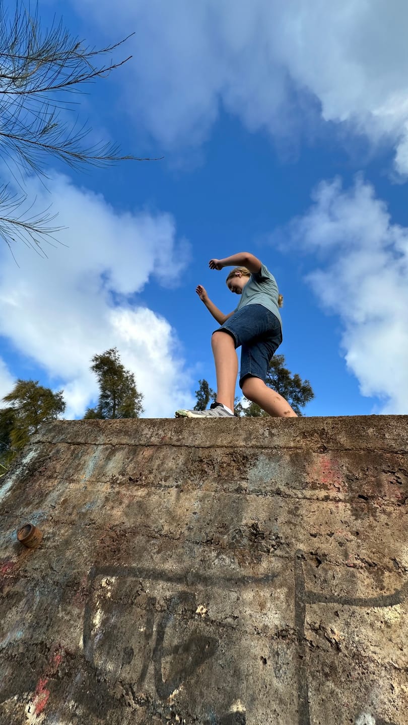 Customer photo review of Salomon Women's Speedcross 6 Shoes L475820 Castlerock Vanilla Smoke Green