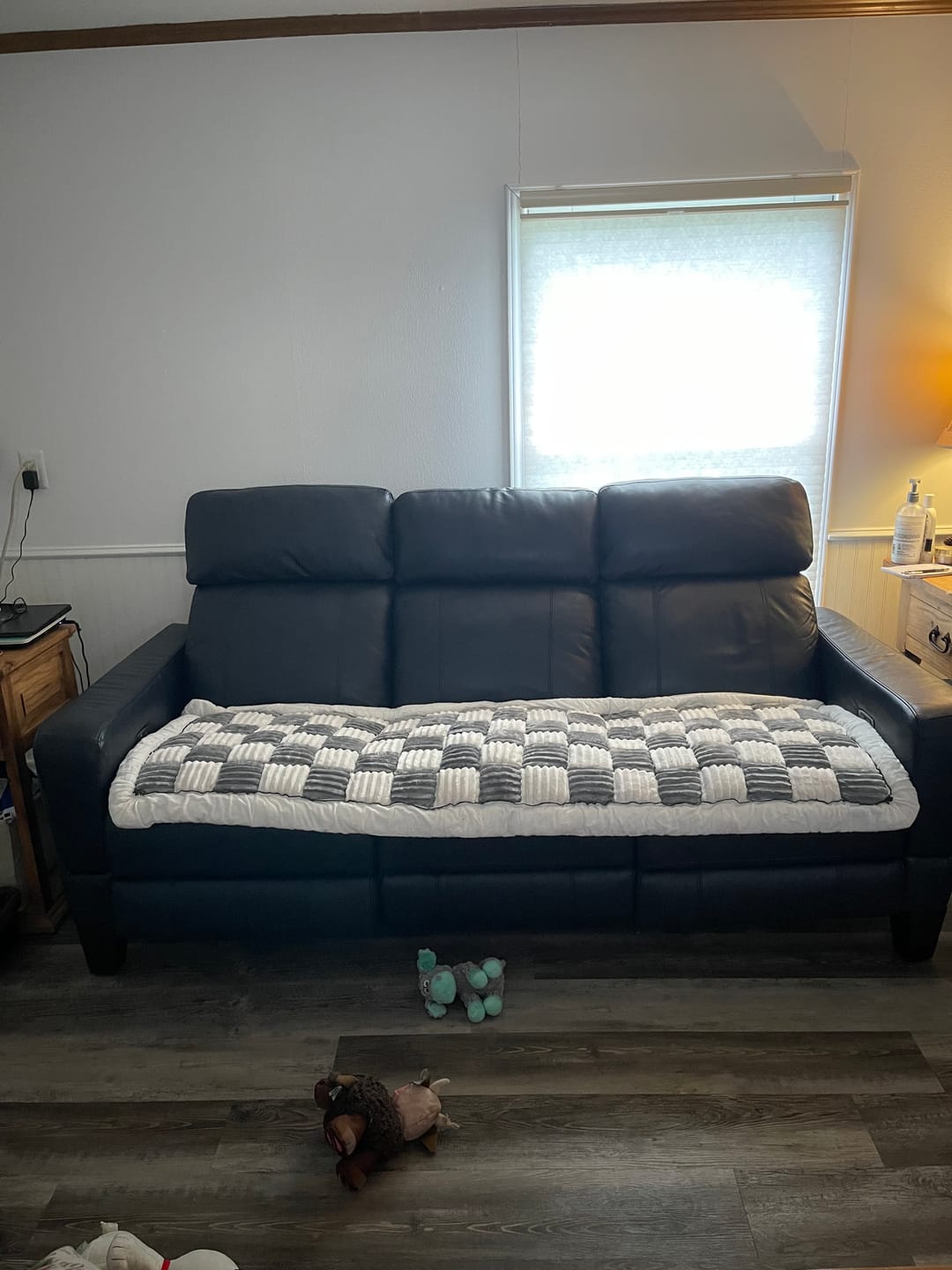 Customer photo review of Team K9® 2-in-1 Couch Cover & Dog Bed