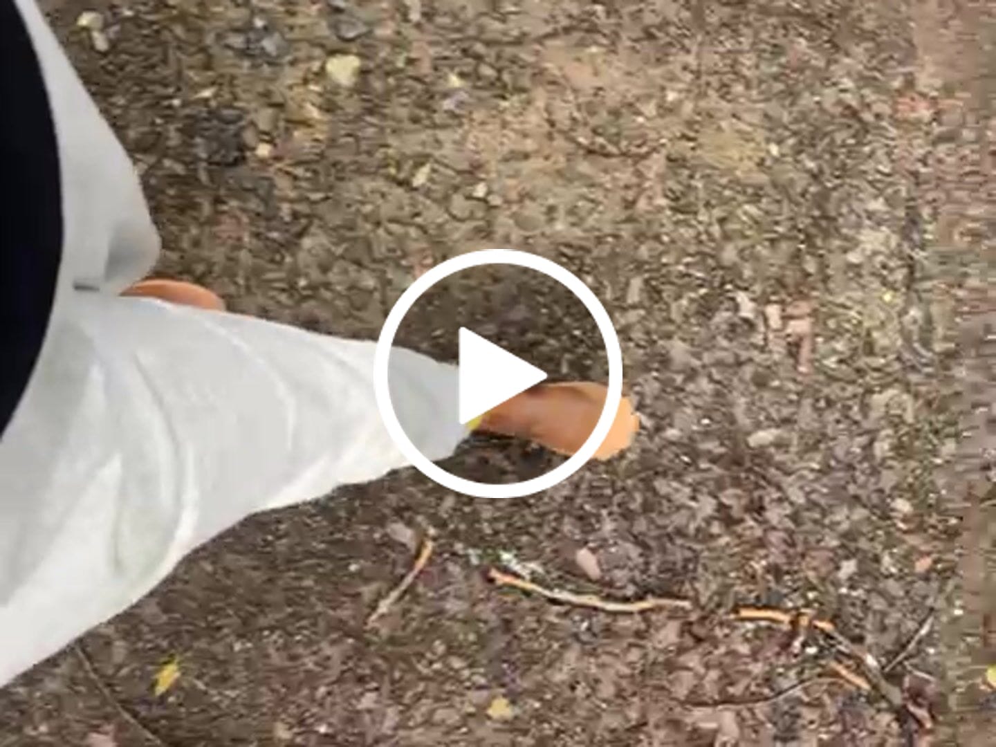 Customer video review of Botín Original 2 Whiskey Mujer Edición Limitada