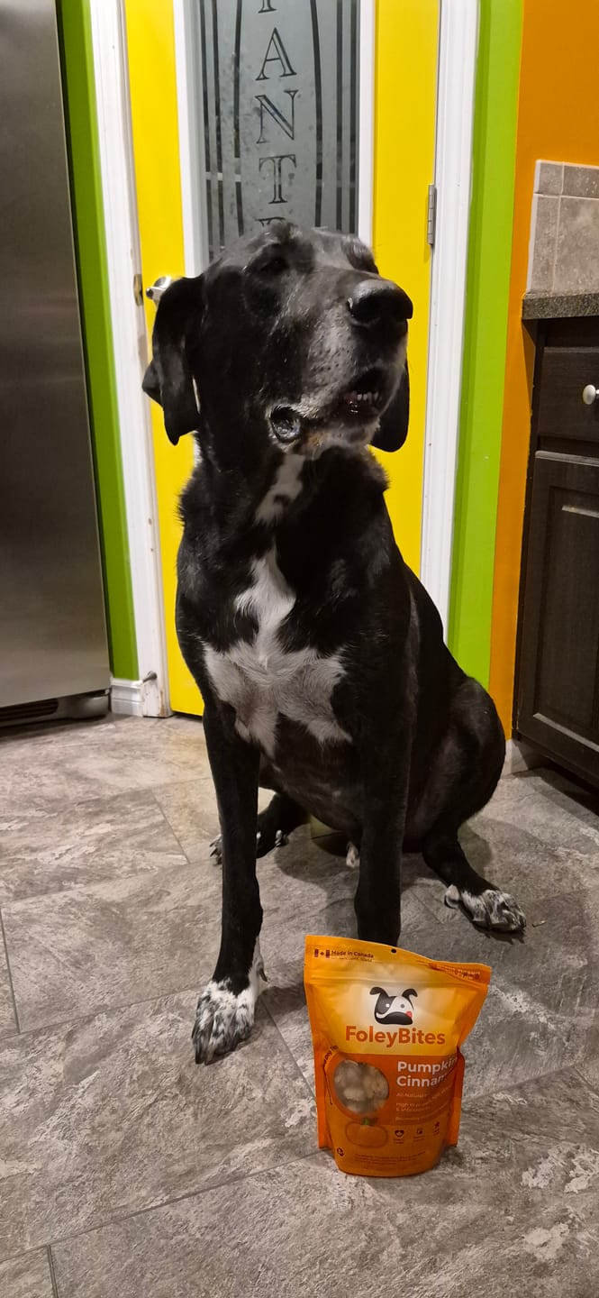 Customer photo review of VitalityDog - 7 Pack Bundle