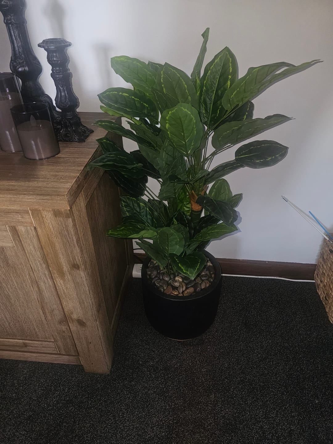 Customer photo review of Premium Artificial Cordyline Fructicosa Green / Ti Plant 90cm