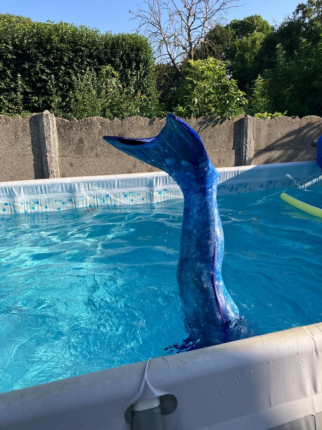 Customer photo review of Mermaid Sisters Pro Monovin