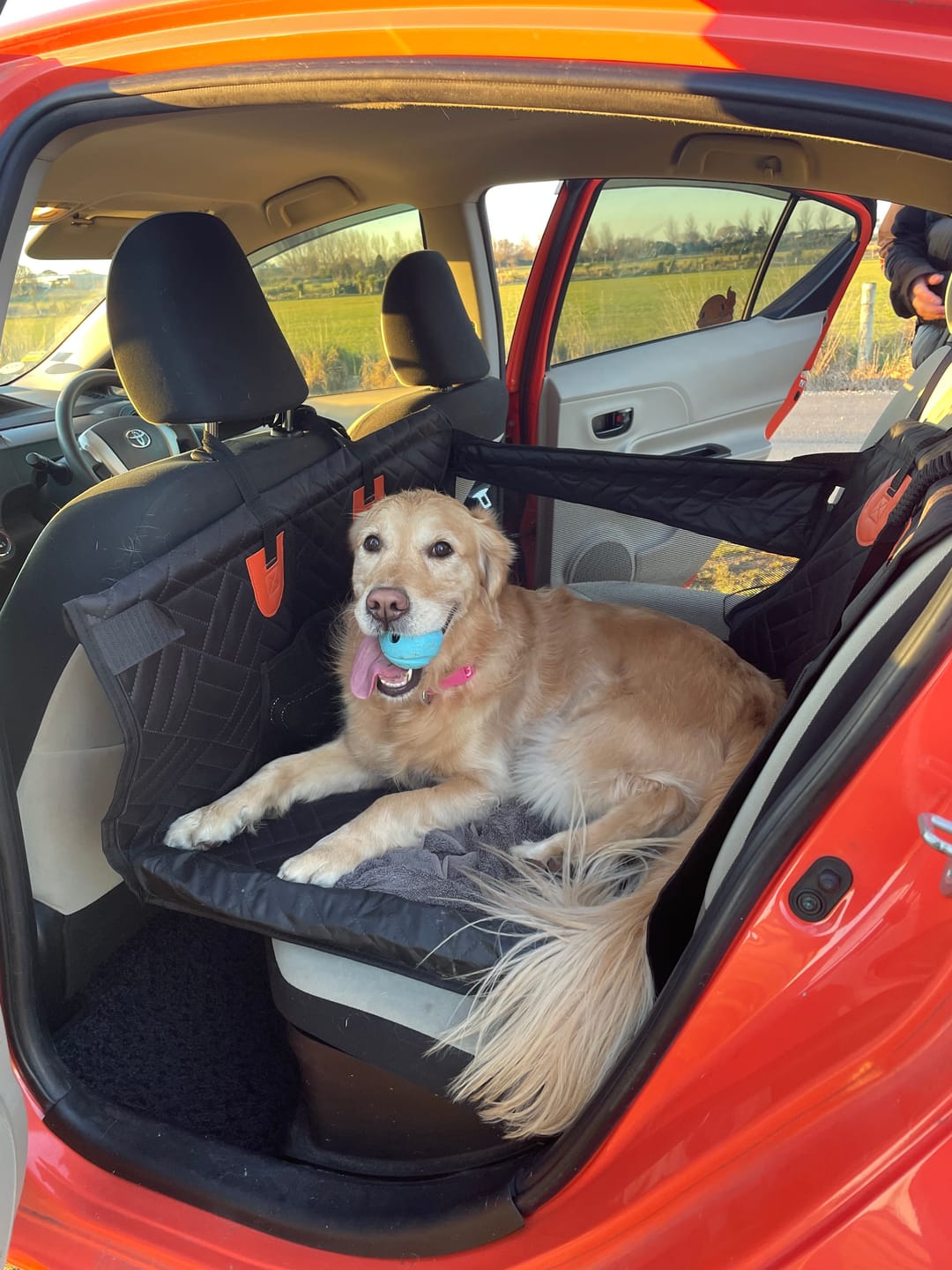Customer photo review of Companion&Co™ Hard Bottom Single Seat Cover
