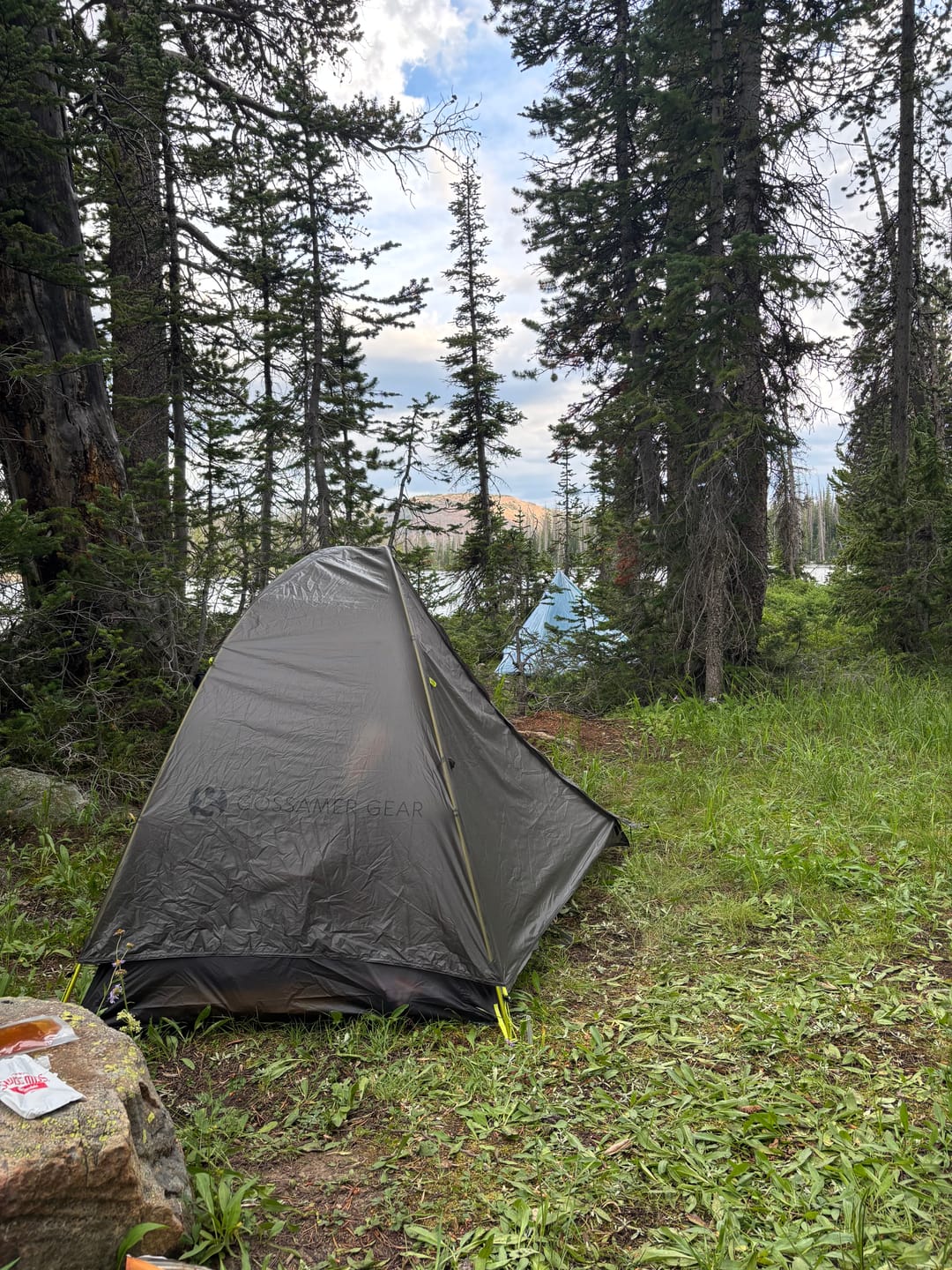 Customer photo review of The Free