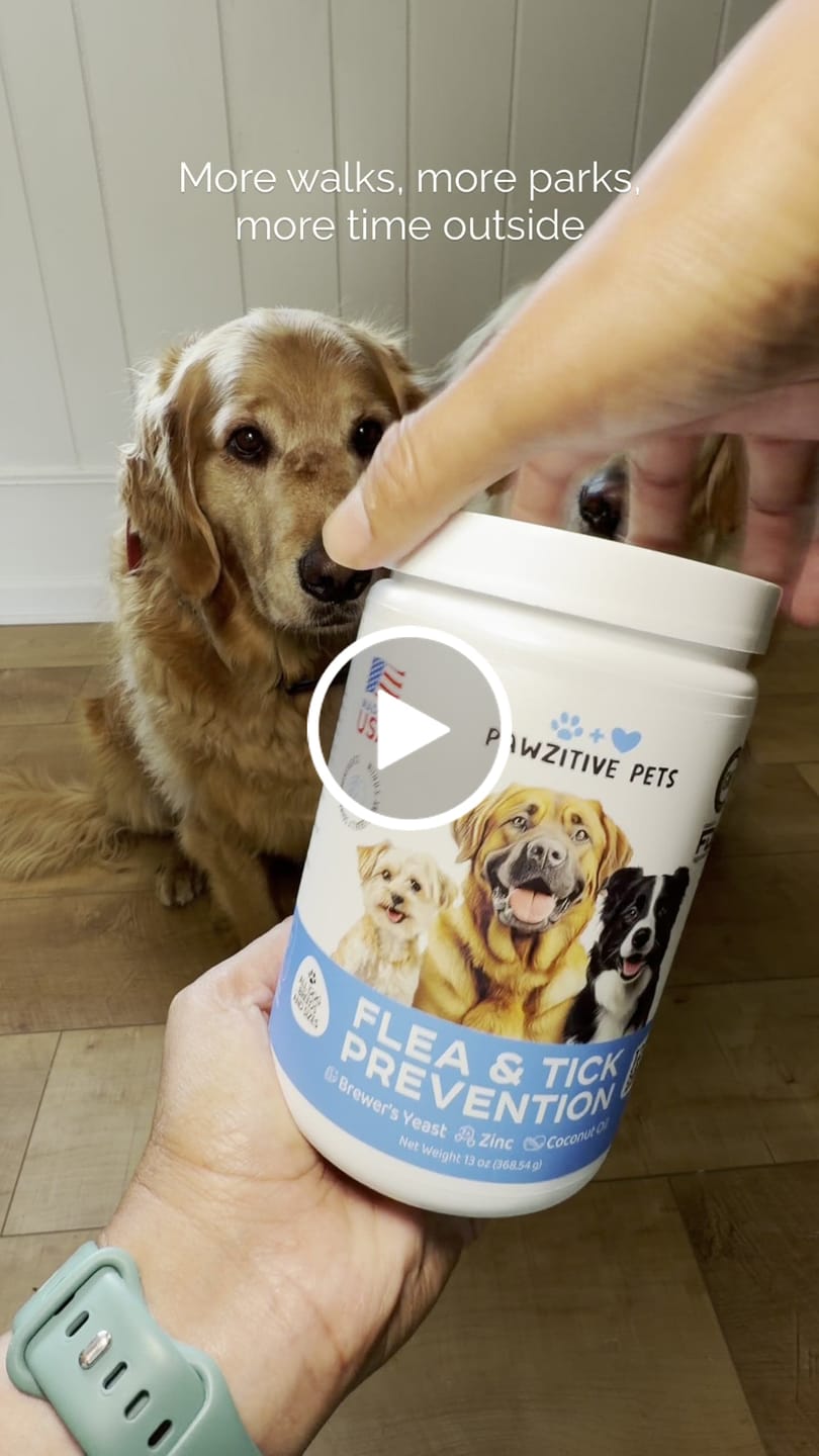 Customer video review of Flea and Tick Prevention for Dogs – 120 Soft Chews