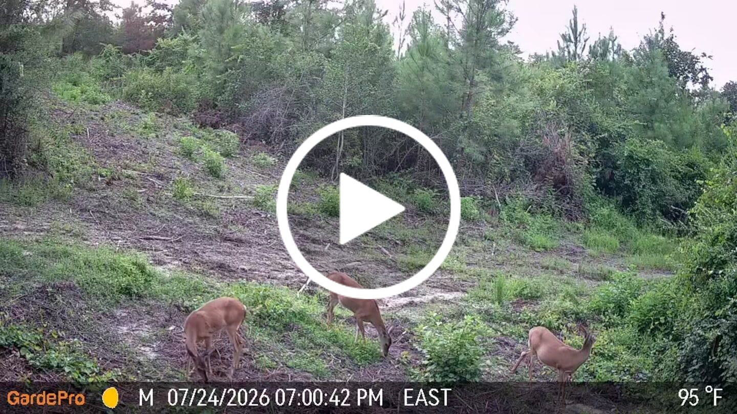 Customer video review of GardePro X66 Pro Cellular Trail Camera