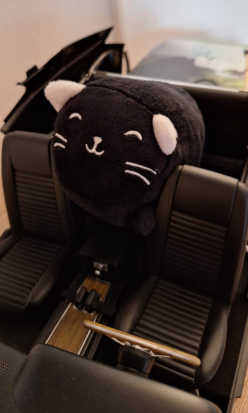 Customer photo review of Luna – Schwarze Katze als Stressball und Bildschirmreiniger