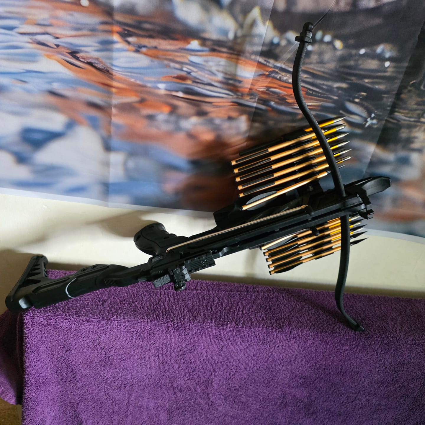 Customer photo review of Op-360 Extendable Self Cocking 80lb Bolts & String Crossbow Set