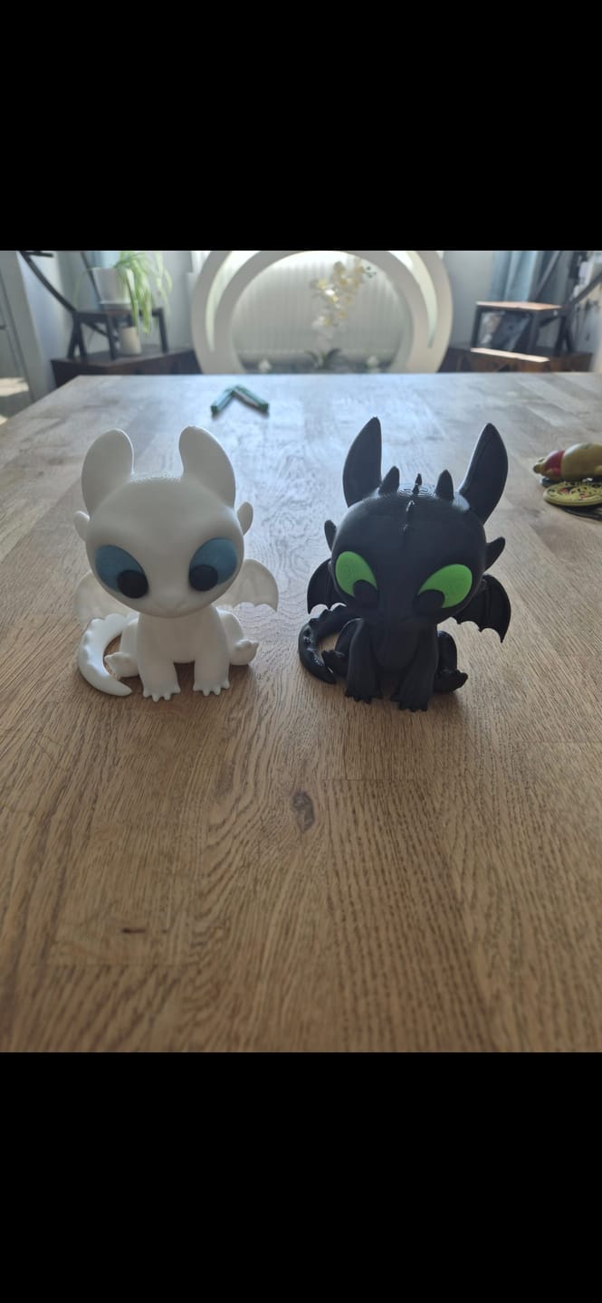 Customer photo review of PLA Basic